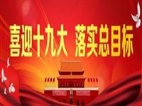 【喜迎十九大 全景看中國(guó)】美之電高頻機(jī)高歌猛進(jìn)為產(chǎn)業(yè)添翼